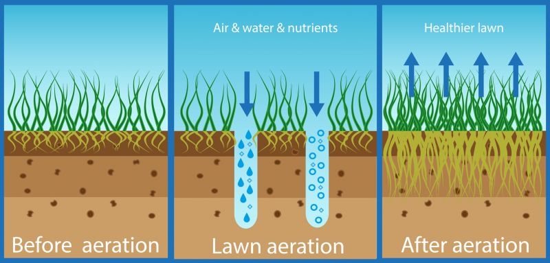 Soil Aeration