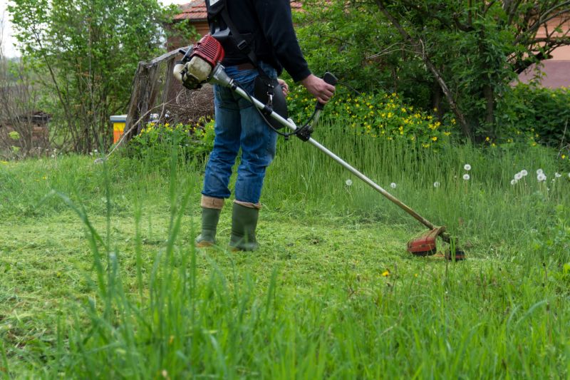 Overgrown Grass Trimming