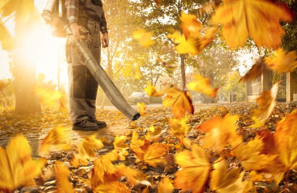 Leaf Blowing Service in Boynton Beach
