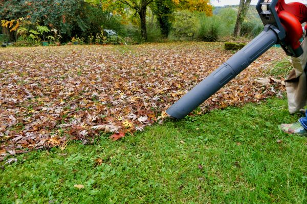 Leaf Vacuuming Service in Boynton Beach