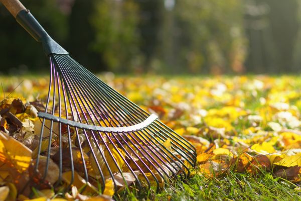 Leaf Raking Service in Boynton Beach