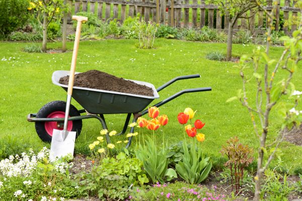 Spring Yard Cleanup in Boynton Beach