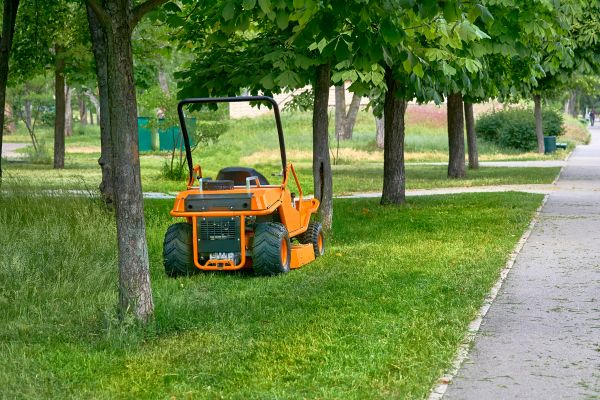Landscaping Cleanup Service in Boynton Beach