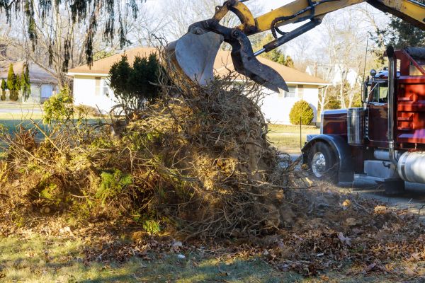 Storm Debris Removal in Boynton Beach