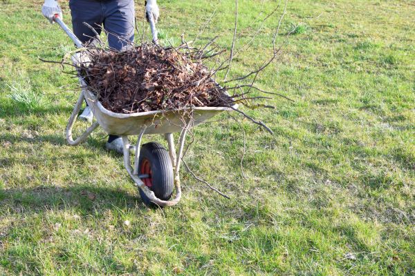 Yard Brush Removal in Boynton Beach