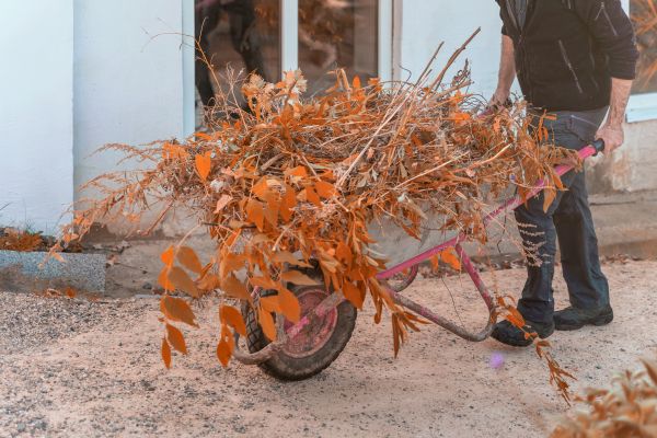 Lawn Debris Cleanup in Boynton Beach