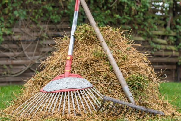 Pine Straw Clearing in Boynton Beach