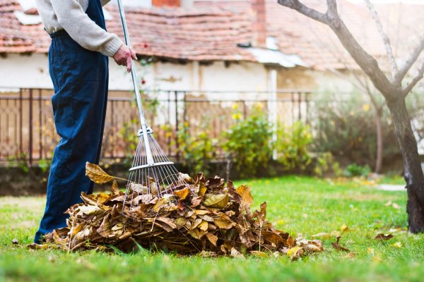 Spring Lawn Cleanup in Boynton Beach