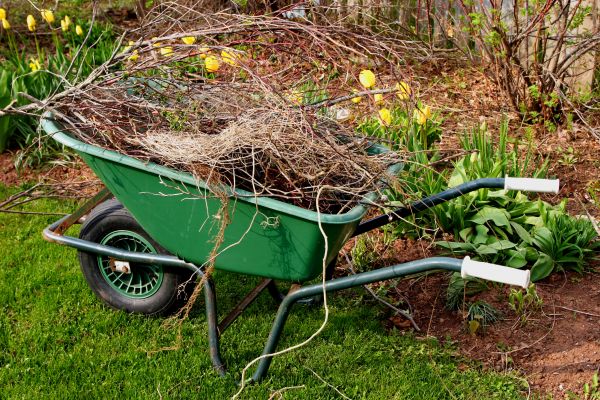 Lawn Waste Removal in Boynton Beach