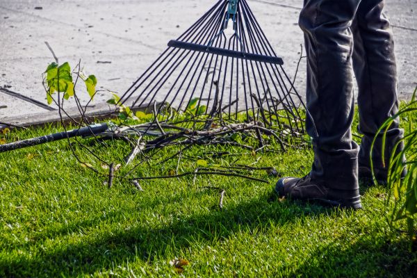 Yard Debris Cleanup in Boynton Beach