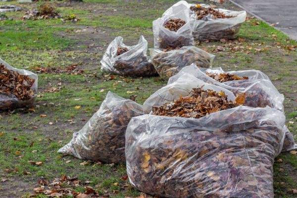 Leaf Pile Disposal in Boynton Beach