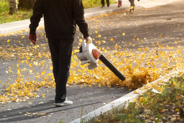 Commercial Leaf Removal in Boynton Beach